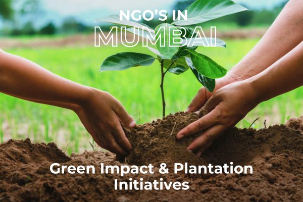 Mumbai NGOs: Green Impact & Plantation Initiatives